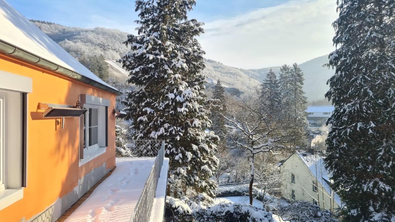 Waldhaus Zum Gechillten Hirsch In Der Natur, Bei Der Moseltherme Traben-Trarbach Dış mekan fotoğraf