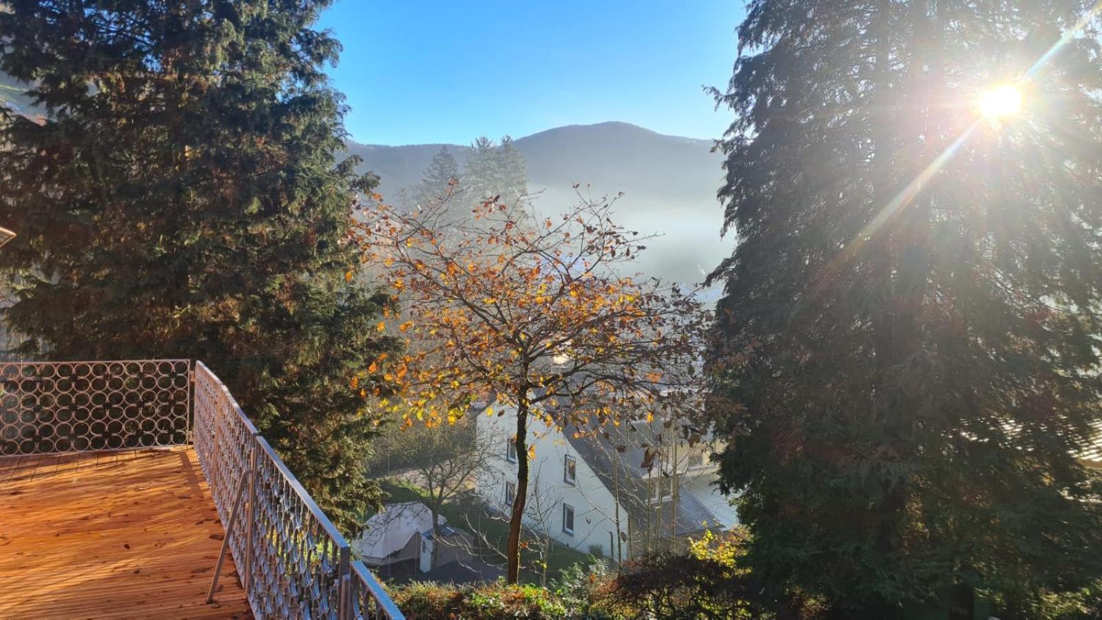 Waldhaus Zum Gechillten Hirsch In Der Natur, Bei Der Moseltherme Traben-Trarbach Dış mekan fotoğraf