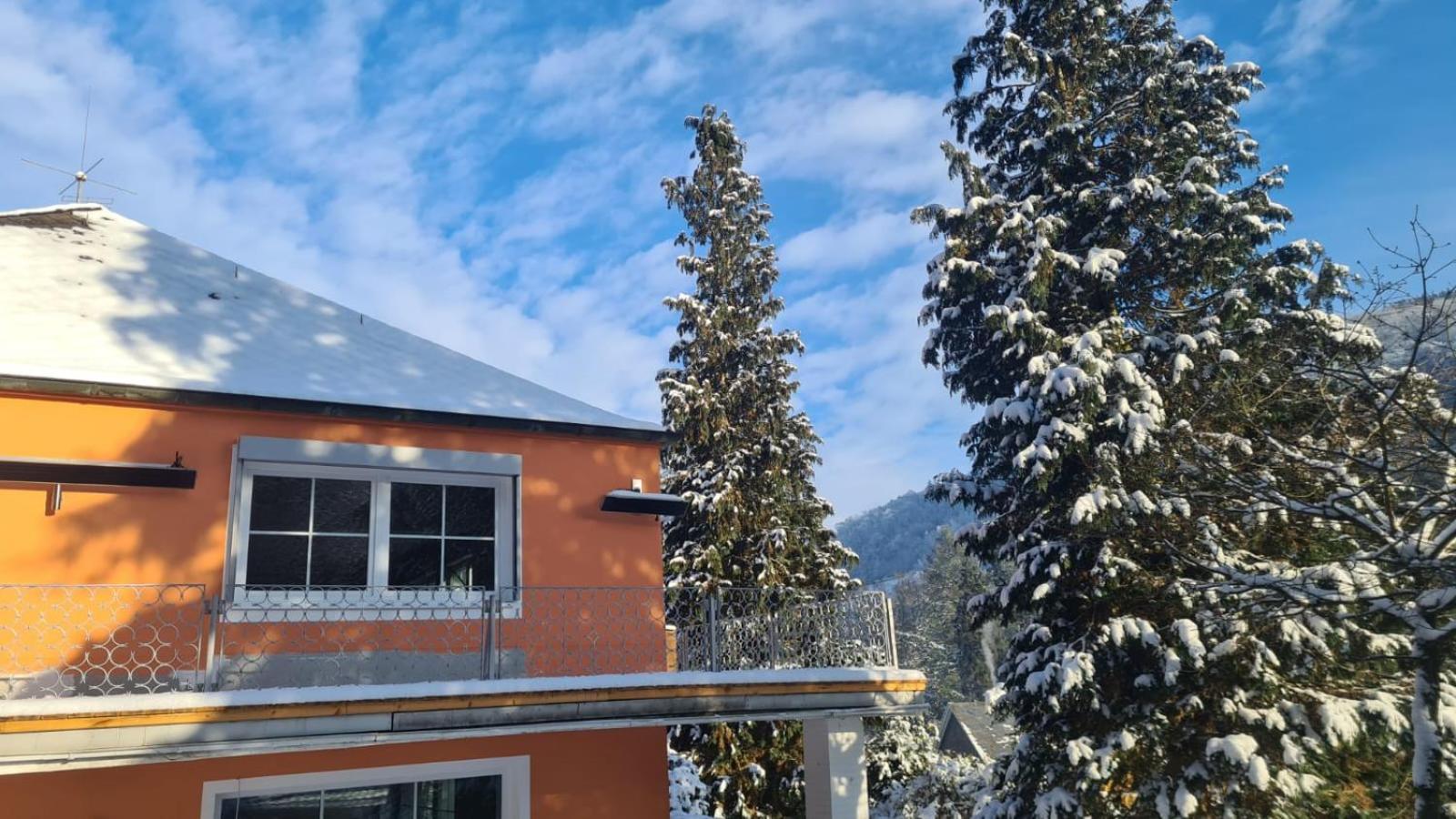 Waldhaus Zum Gechillten Hirsch In Der Natur, Bei Der Moseltherme Traben-Trarbach Dış mekan fotoğraf