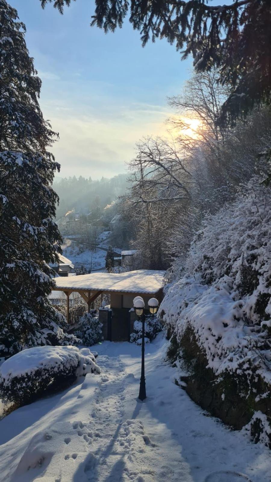Waldhaus Zum Gechillten Hirsch In Der Natur, Bei Der Moseltherme Traben-Trarbach Dış mekan fotoğraf