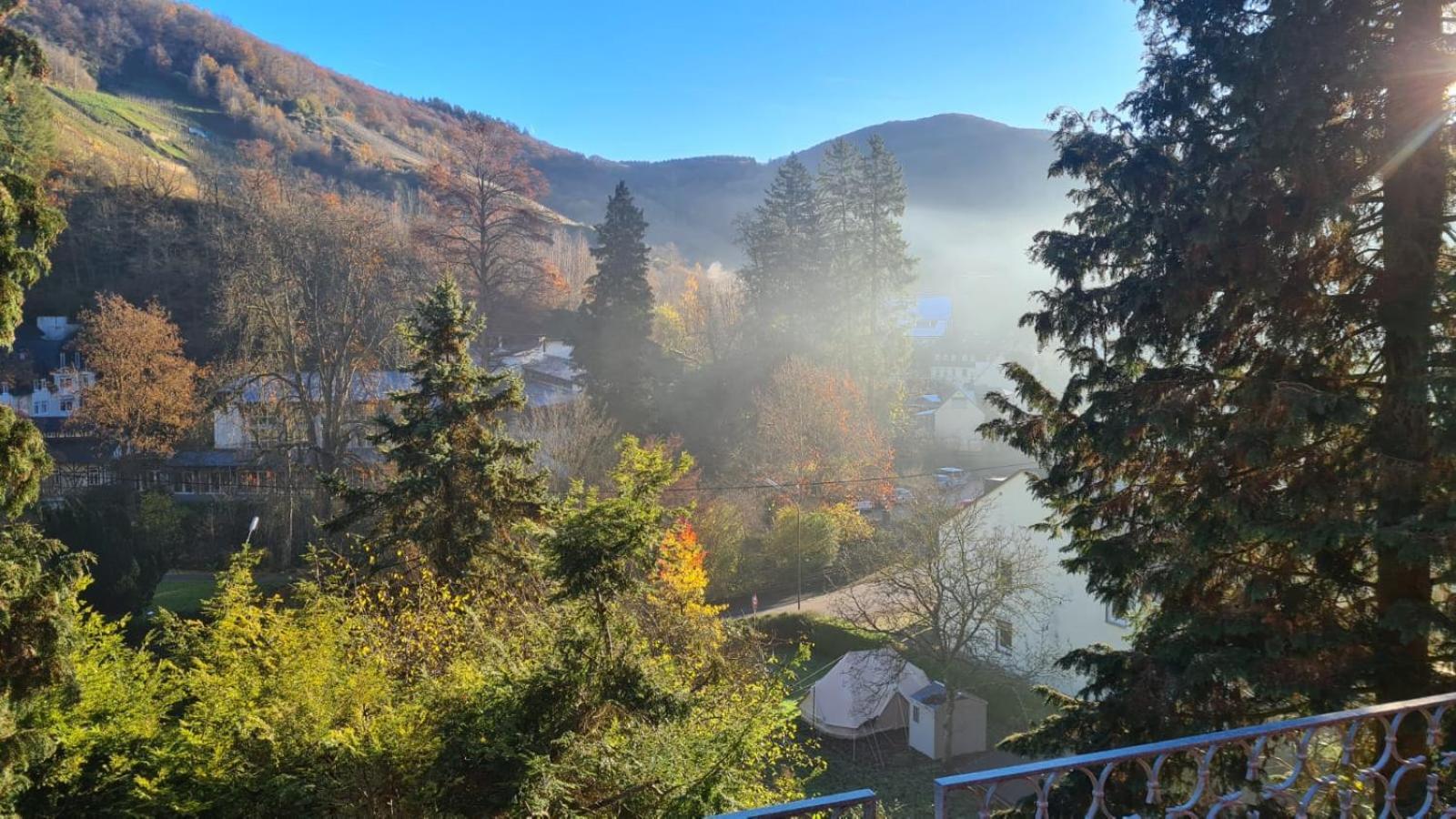 Waldhaus Zum Gechillten Hirsch In Der Natur, Bei Der Moseltherme Traben-Trarbach Dış mekan fotoğraf