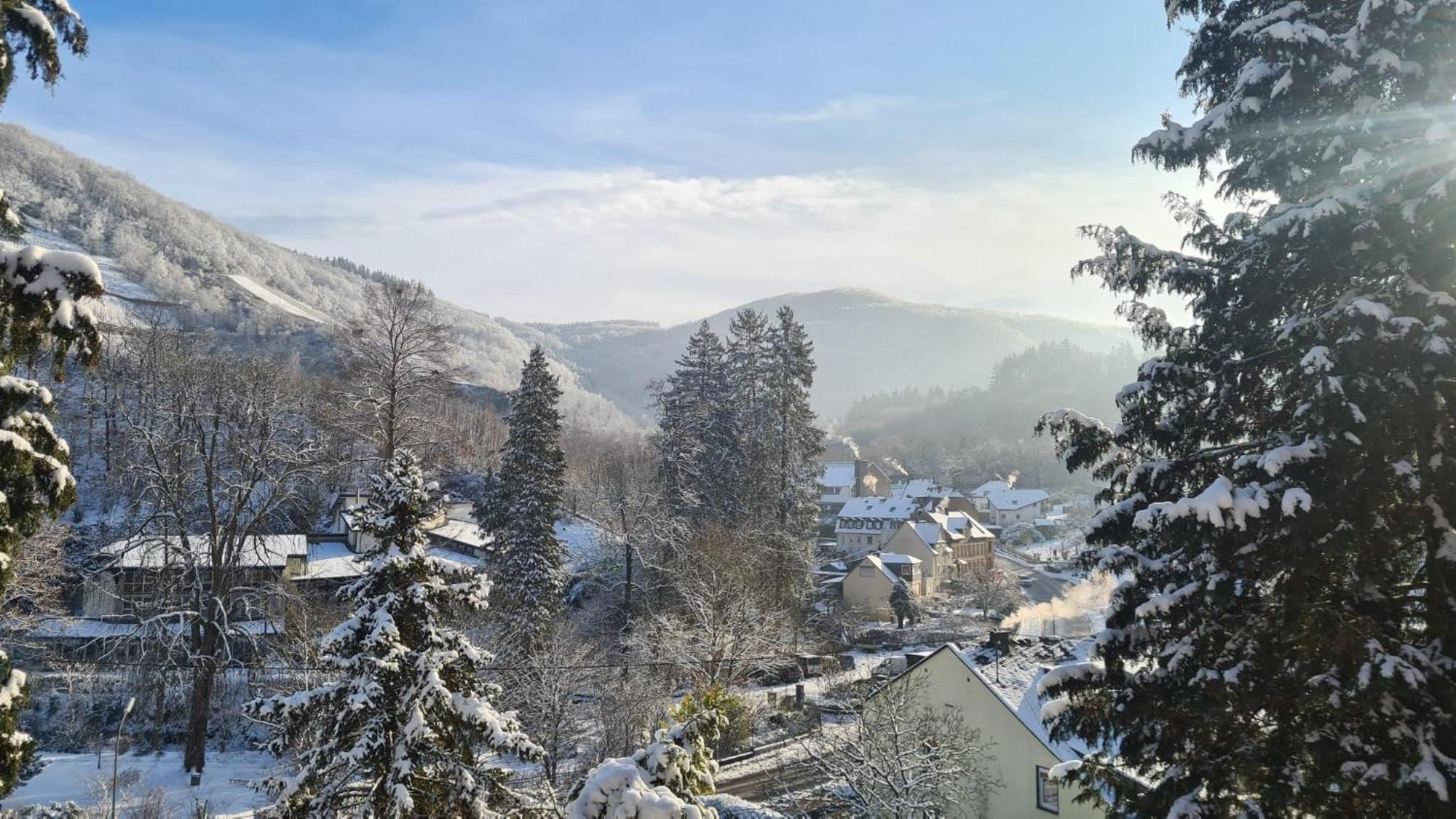 Waldhaus Zum Gechillten Hirsch In Der Natur, Bei Der Moseltherme Traben-Trarbach Dış mekan fotoğraf