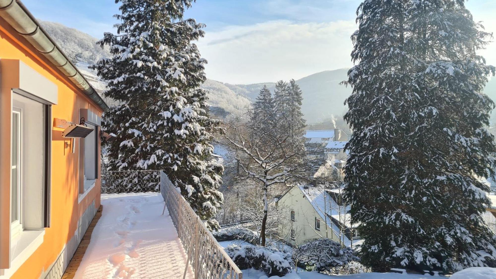 Waldhaus Zum Gechillten Hirsch In Der Natur, Bei Der Moseltherme Traben-Trarbach Dış mekan fotoğraf