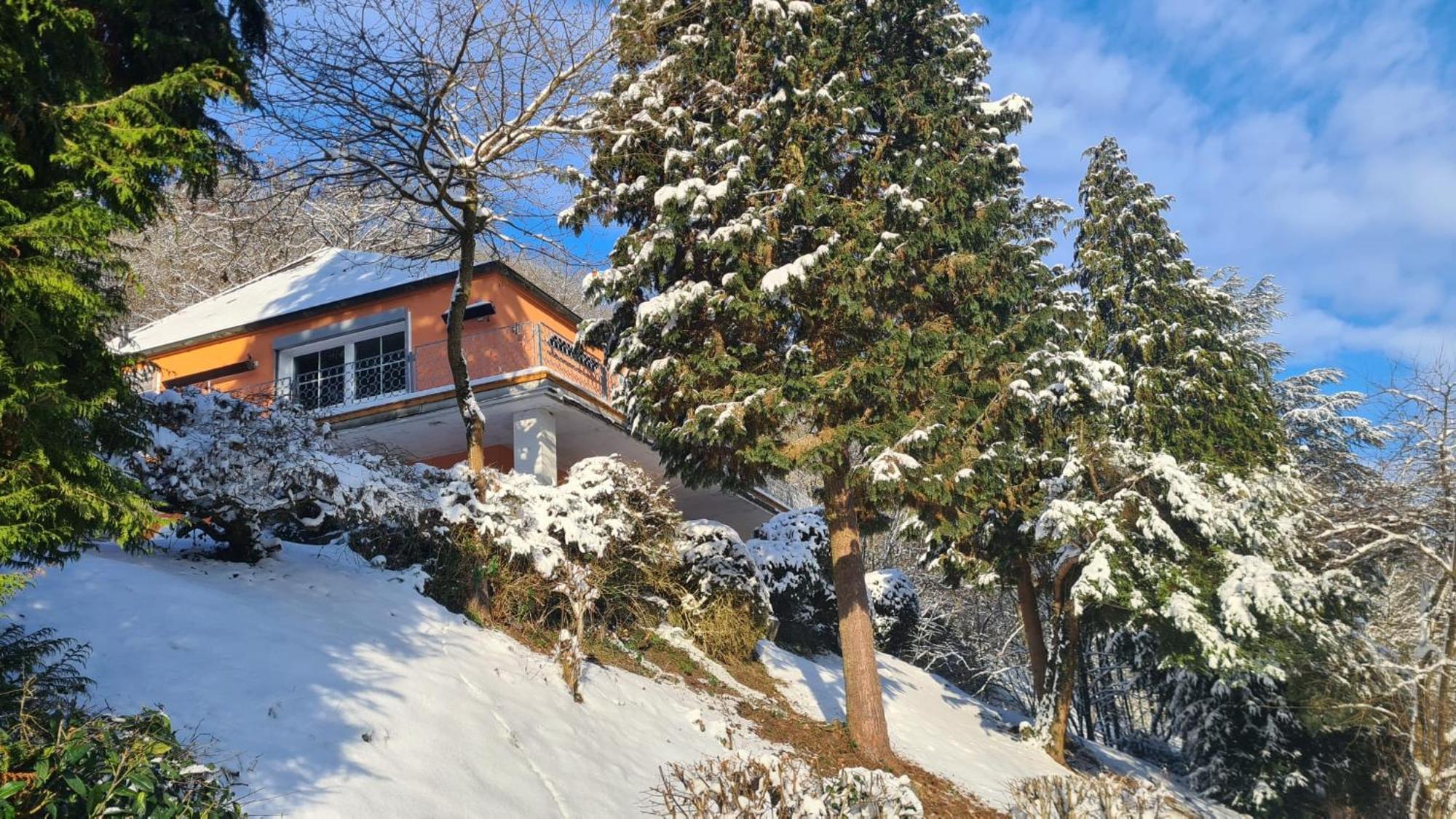 Waldhaus Zum Gechillten Hirsch In Der Natur, Bei Der Moseltherme Traben-Trarbach Dış mekan fotoğraf