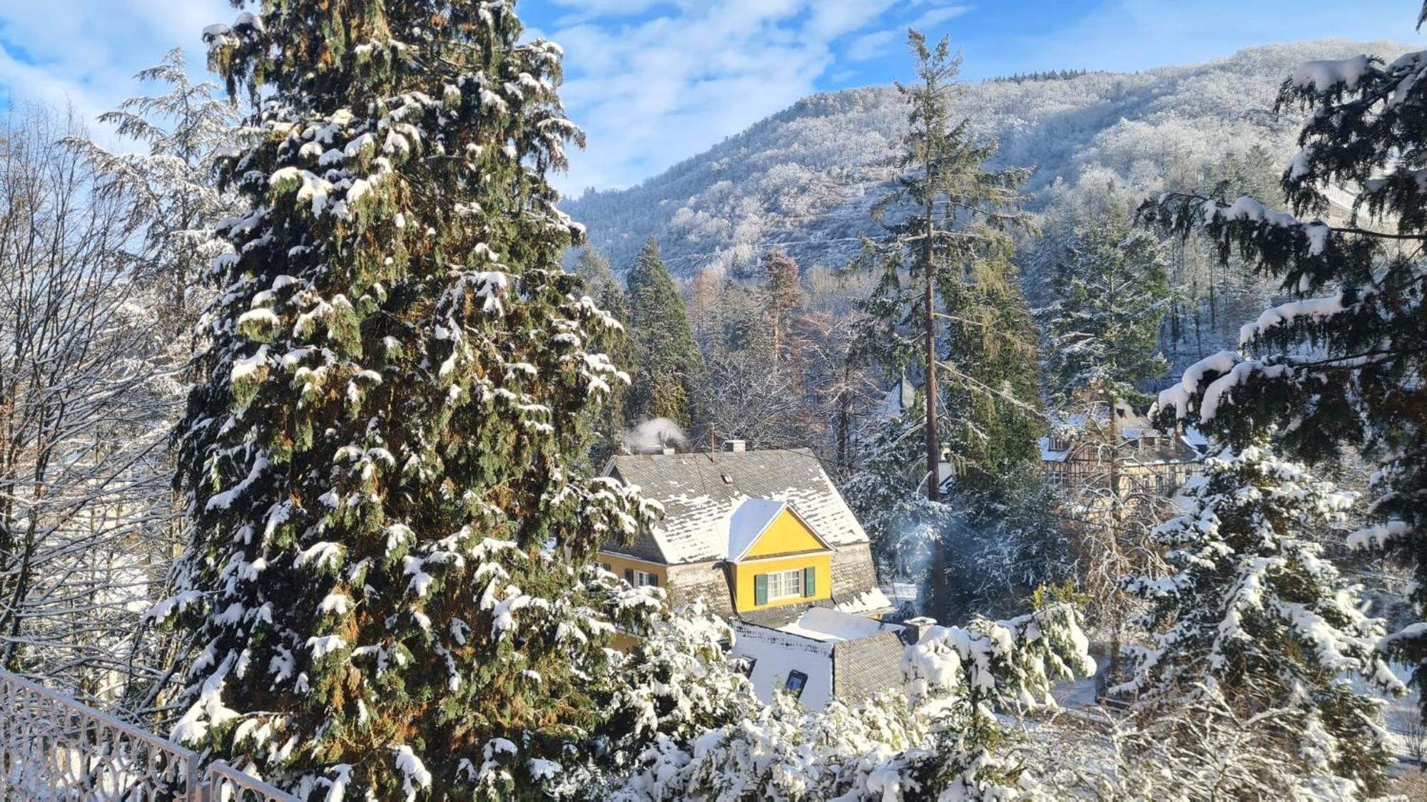 Waldhaus Zum Gechillten Hirsch In Der Natur, Bei Der Moseltherme Traben-Trarbach Dış mekan fotoğraf