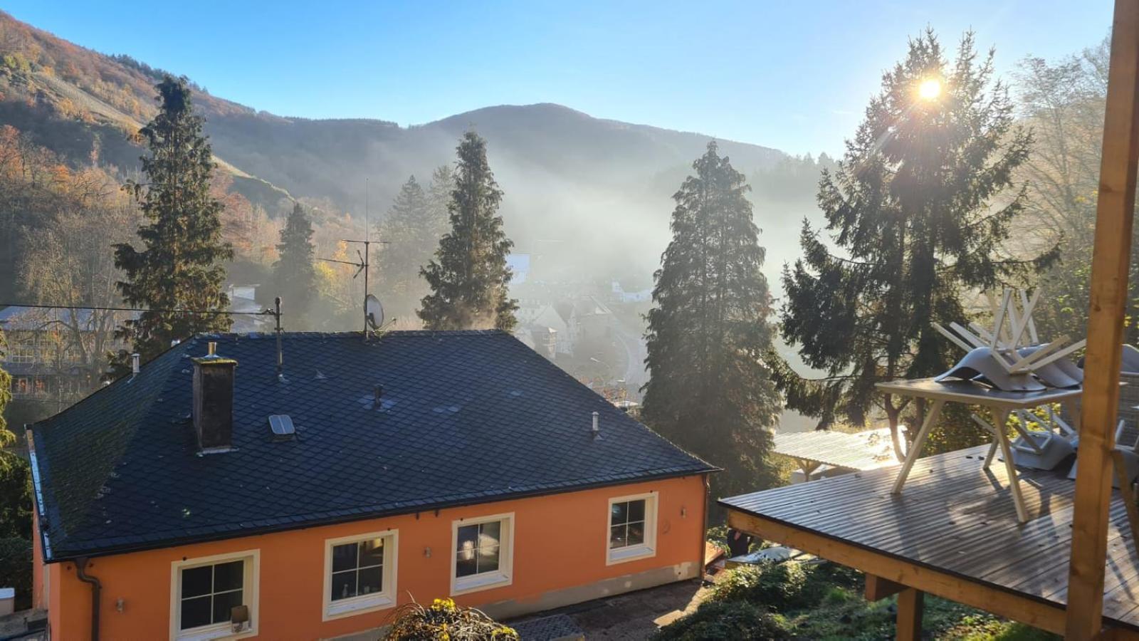 Waldhaus Zum Gechillten Hirsch In Der Natur, Bei Der Moseltherme Traben-Trarbach Dış mekan fotoğraf