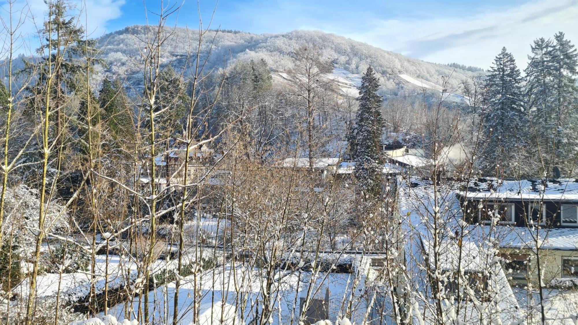 Waldhaus Zum Gechillten Hirsch In Der Natur, Bei Der Moseltherme Traben-Trarbach Dış mekan fotoğraf